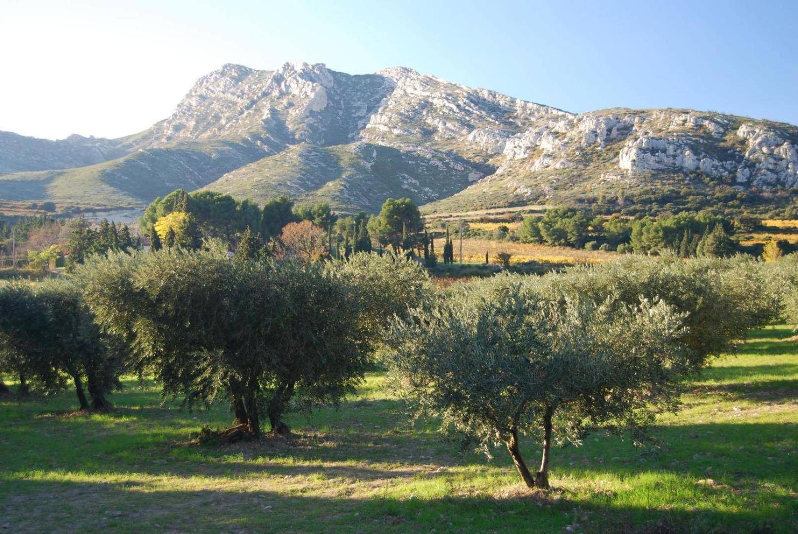Sous Le Soleil Des Alpilles Apartment Муриес Екстериор снимка