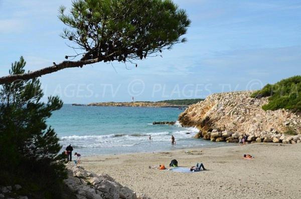 Sous Le Soleil Des Alpilles Apartment Муриес Екстериор снимка